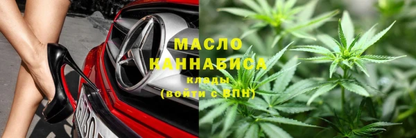 хмурый Арсеньев