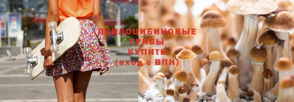 ешки Аркадак