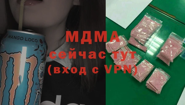 хмурый Арсеньев