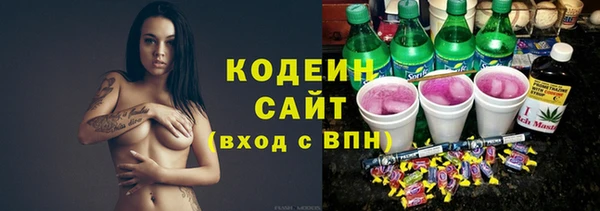 хмурый Арсеньев