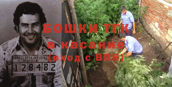 ешки Аркадак