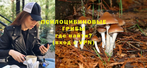 ешки Аркадак