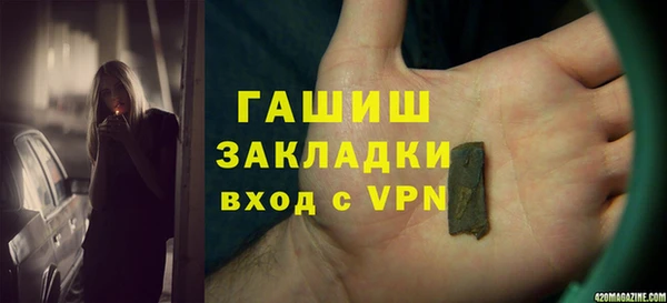 хмурый Арсеньев