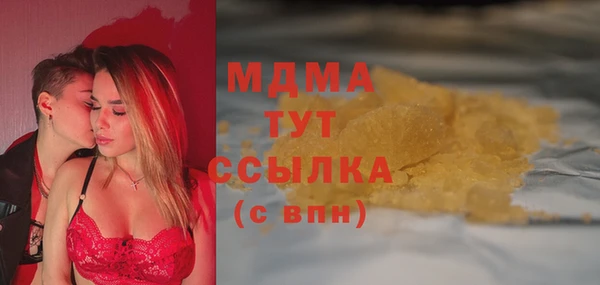хмурый Арсеньев