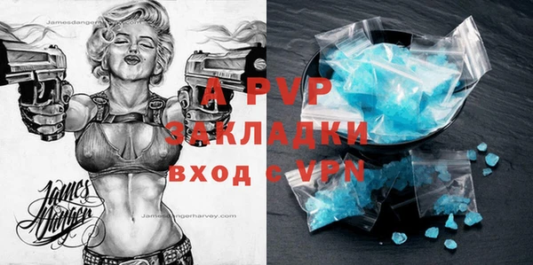 хмурый Арсеньев