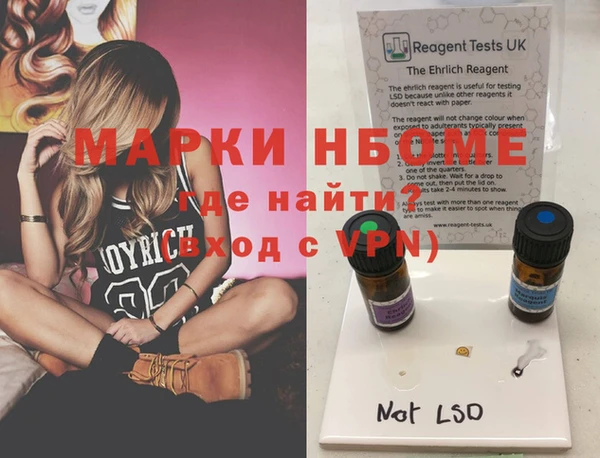 хмурый Арсеньев