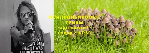 хмурый Арсеньев