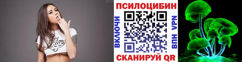 Купить где  Сысерть  Псилоцибиновые грибы Psilocybe 